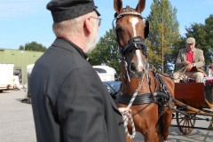 Prinsenrit17012