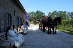 Prinsenrit17079