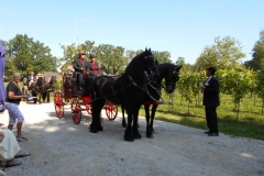 Prinsenrit17080