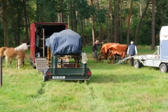 20230827_094455_DSC03960