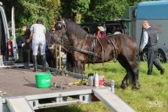 20230827_094817_DSC03963