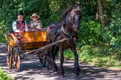 20230827_110636_DSC04017