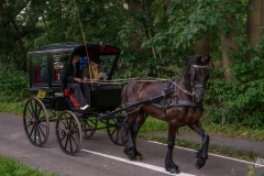 20230827_111255_DSC04032