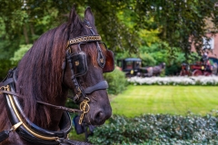 20230827_114534_DSC04069