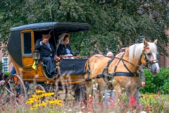 20230827_120052_DSC04091