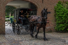 20230827_122950_DSC04156