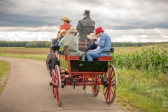 20230827_123829_DSC04180