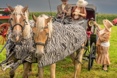 20230827_140517_DSC04255