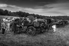 20230827_140829_DSC04261