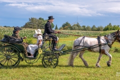 20230827_143319_DSC04277