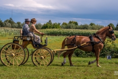 20230827_144128_DSC04306