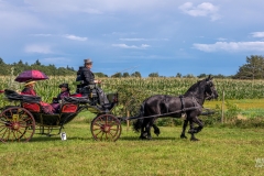 20230827_144343_DSC04312