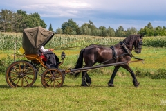 20230827_145051_DSC04342