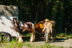 20240908_102208_DSC03739