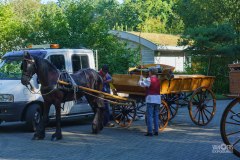 20240908_102426_DSC03748