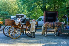 20240908_102432_DSC03750