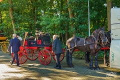 20240908_102443_DSC03751