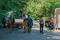 20240908_102539_DSC03753