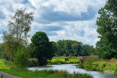 20240908_111933_DSC03773