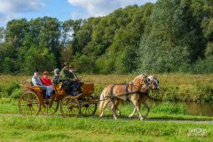 20240908_112048_DSC03777