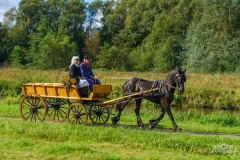 20240908_112141_DSC03781