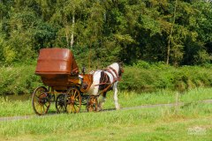 20240908_112205_DSC03790