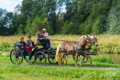 20240908_112402_DSC03810