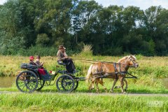 20240908_112405_DSC03812