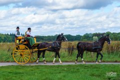 20240908_113127_DSC03835