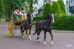 20240908_113207_DSC03837