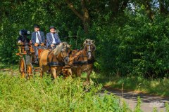 20240908_113459_DSC03840