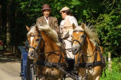 20240908_114828_DSC03864