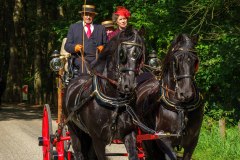 20240908_115010_DSC03870