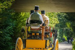 20240908_115448_DSC03880