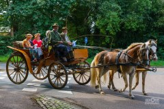 20240908_120911_DSC03885