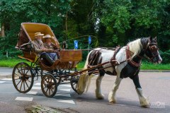 20240908_120951_DSC03888