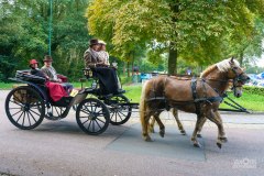 20240908_121000_DSC03892