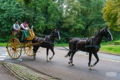 20240908_121311_DSC03905