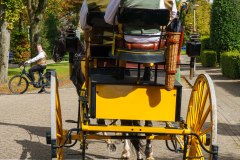 20240908_121700_DSC03910