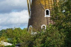 20240908_122039_DSC03921