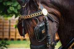 20240908_122902_DSC03939