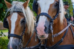 20240908_123136_DSC03948