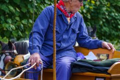 20240908_133839_DSC03991