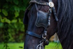 20240908_133910_DSC03995