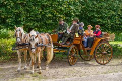 20240908_134228_DSC04001