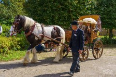 20240908_134627_DSC04014