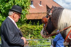 20240908_134646_DSC04017