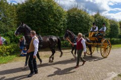 20240908_135650_DSC04045