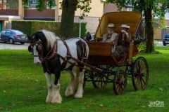 20240908_142201_DSC04061