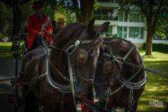 20240908_142419_DSC04069